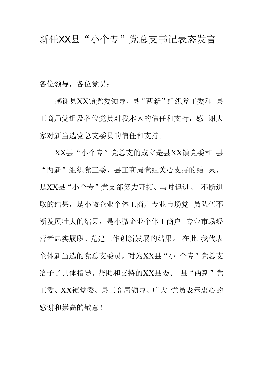 选举新任XX党总支书记表态发言.docx_第1页