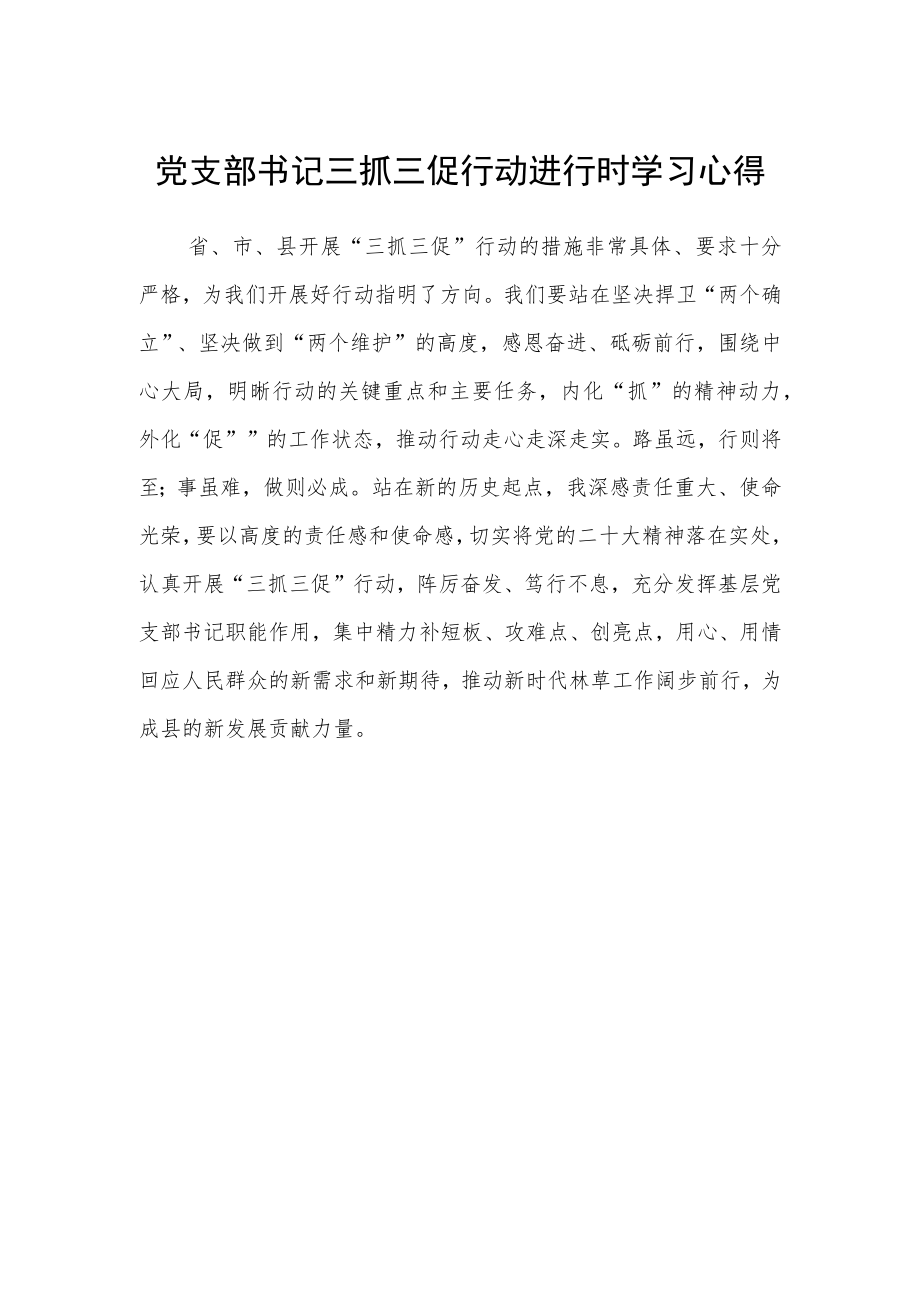 党支部书记三抓三促行动进行时学习心得.docx_第1页