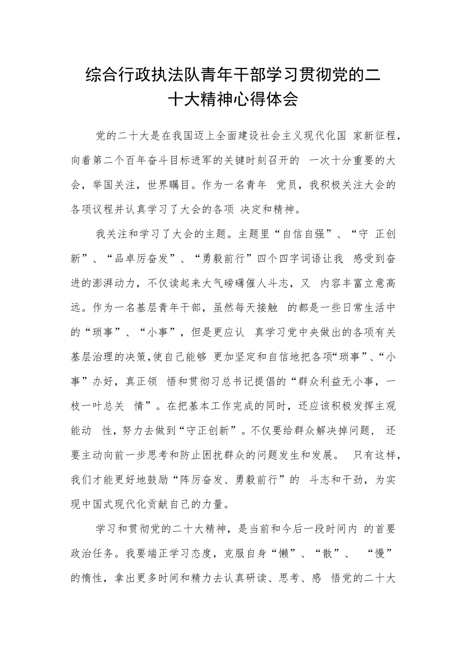 综合行政执法队青年干部学习贯彻党的二十大精神心得体会.docx_第1页