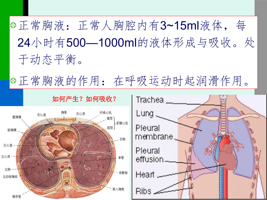 胸膜疾病课件.ppt_第3页