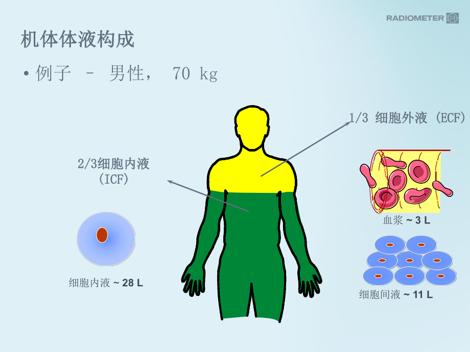 血气基础知识.pptx_第2页