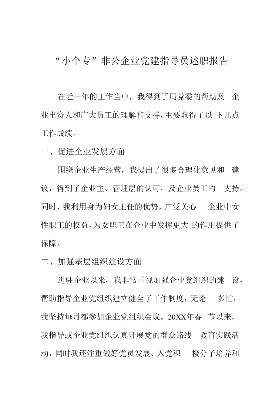 小个专非公企业党建指导员述职报告.docx_第1页