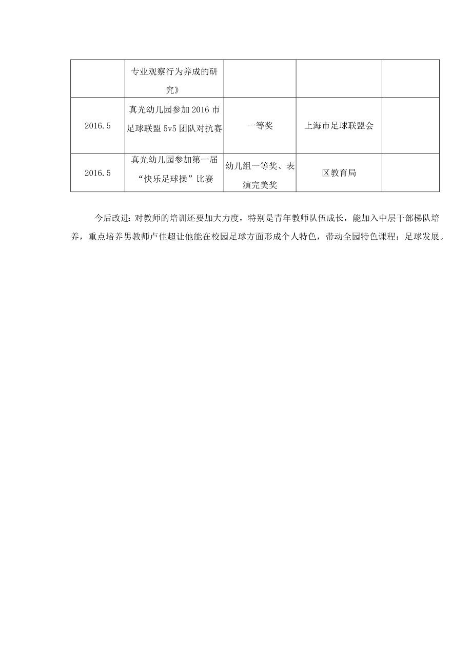 真光幼儿园贯彻落实区三年行动计划实施情况.docx_第3页