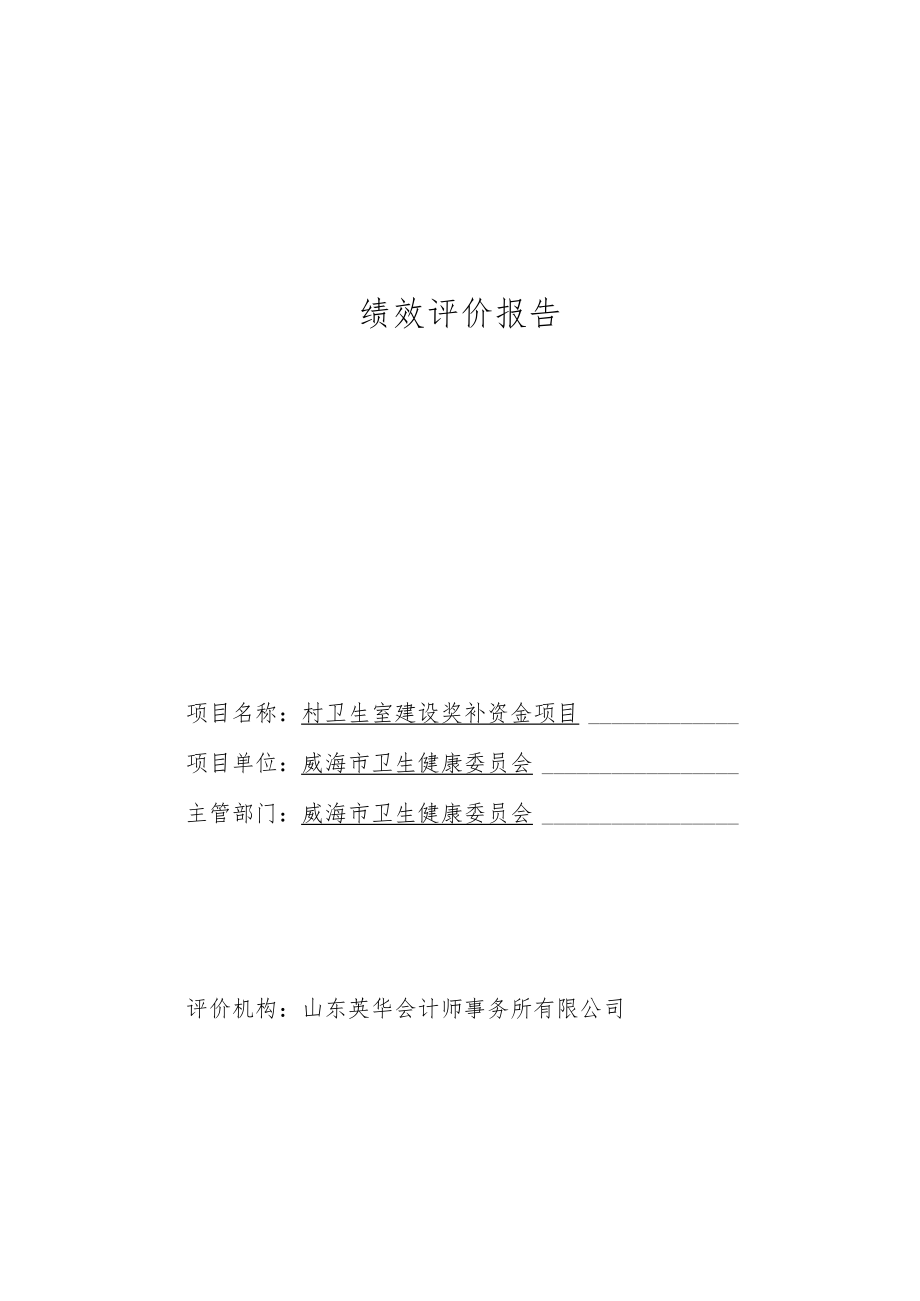 绩效评价报告.docx_第1页