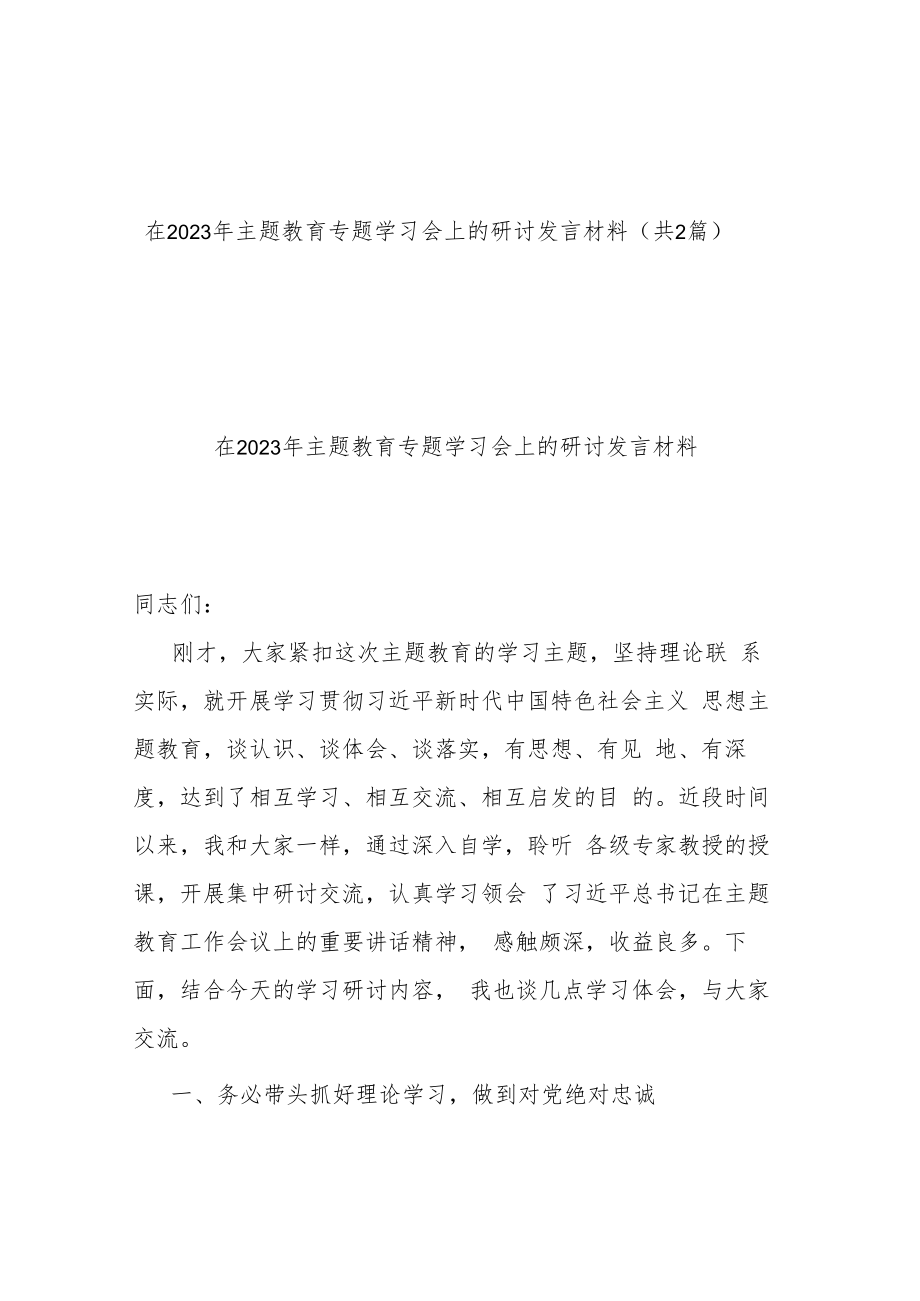 在2023年主题教育专题学习会上的研讨发言材料(共2篇).docx_第1页