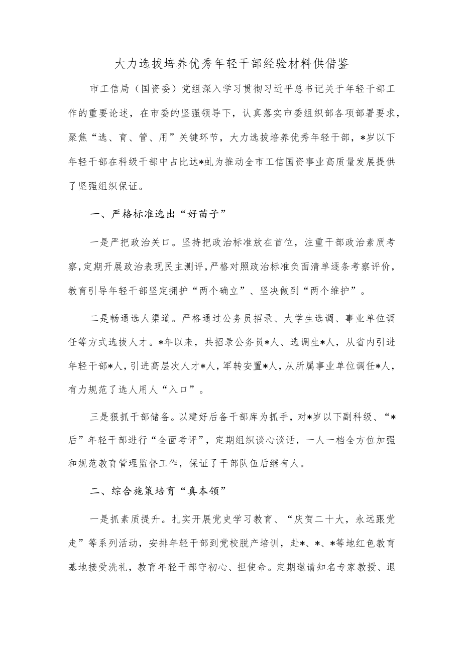 大力选拔培养优秀年轻干部经验材料供借鉴.docx_第1页