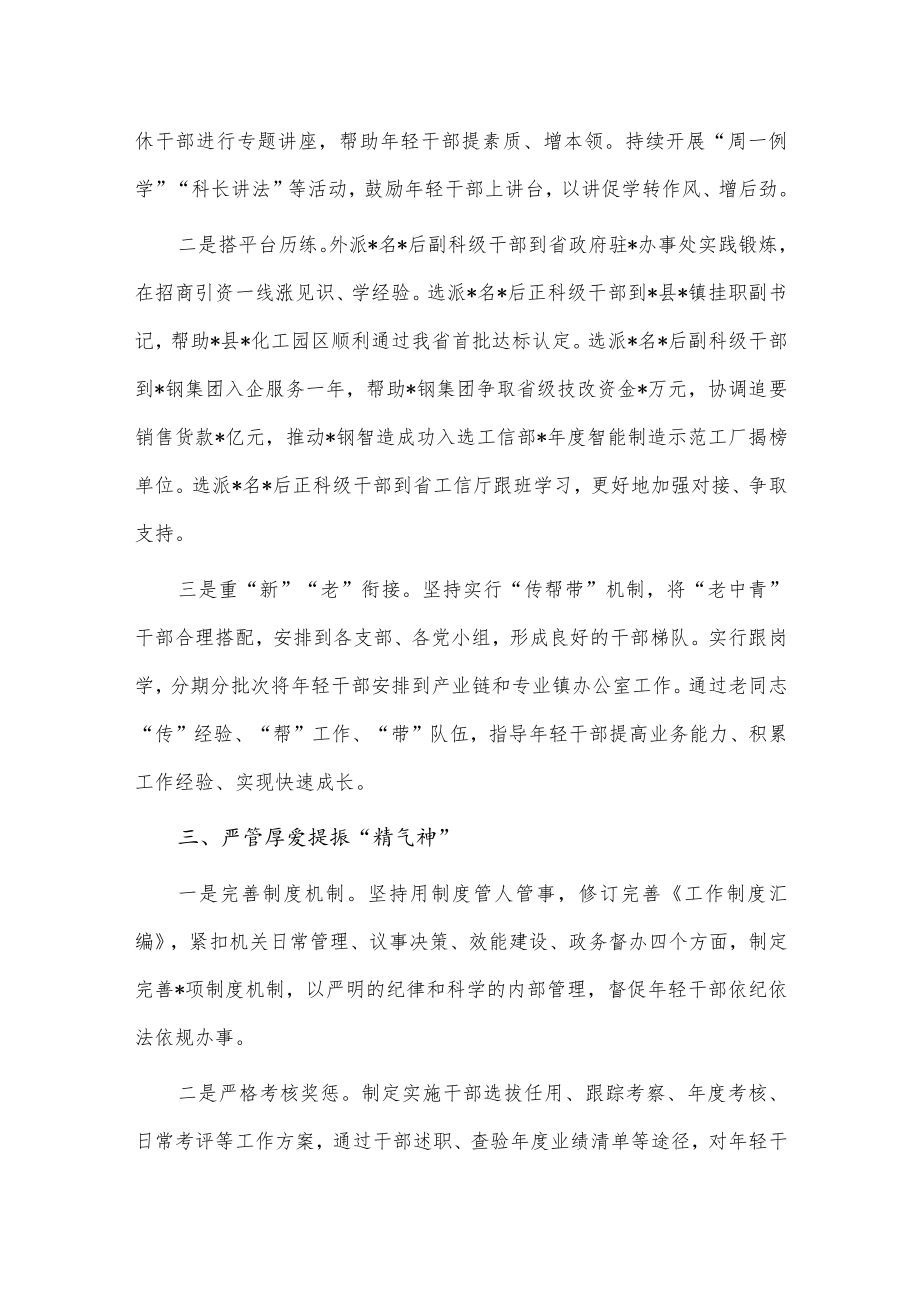 大力选拔培养优秀年轻干部经验材料供借鉴.docx_第2页