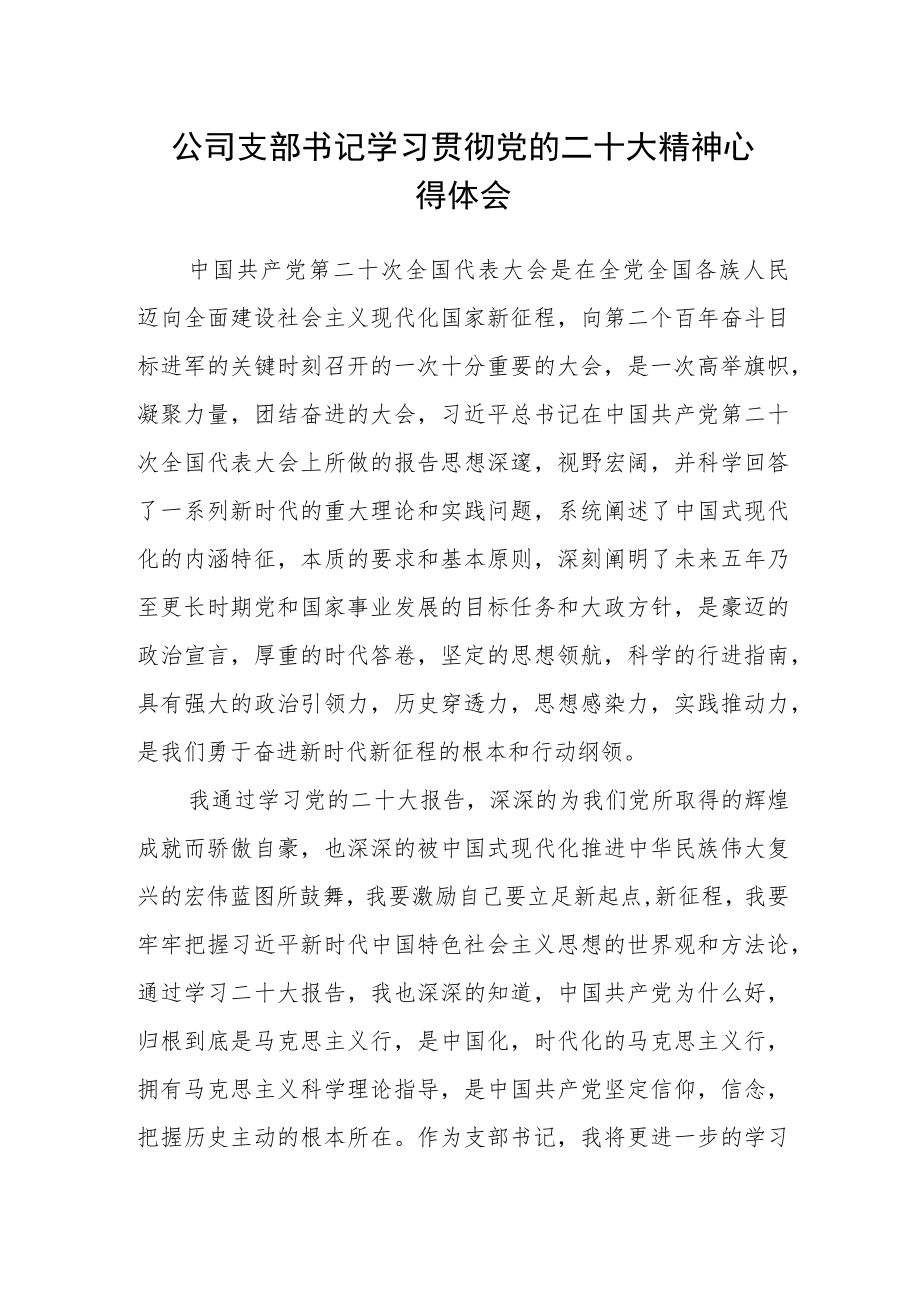 公司支部书记学习贯彻党的二十大精神心得体会.docx_第1页