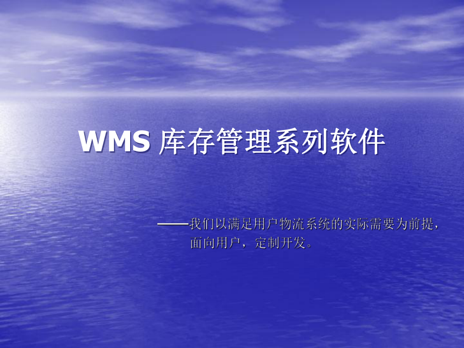 WMS+库存管理系统.pptx_第1页