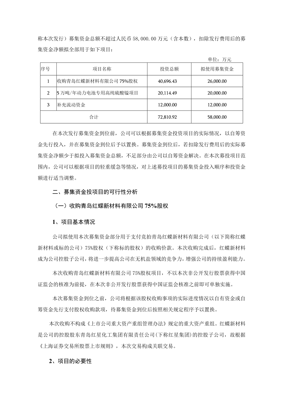 红星发展非公开发行A股股票募集资金运用可行性分析报告.docx_第2页