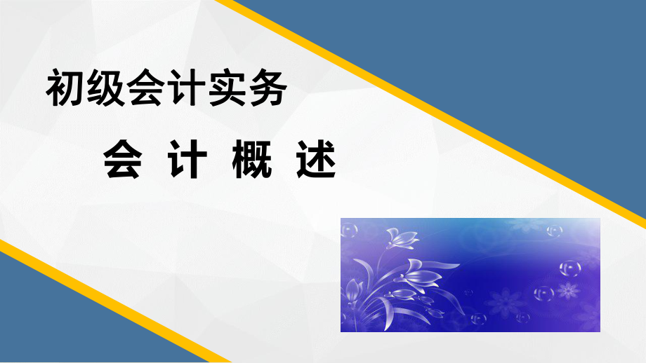 初级会计实务会计概述.pptx_第1页