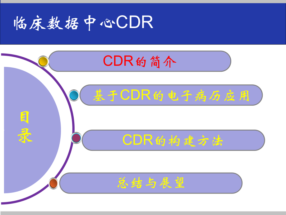 临床数据中心CDR.pptx_第2页