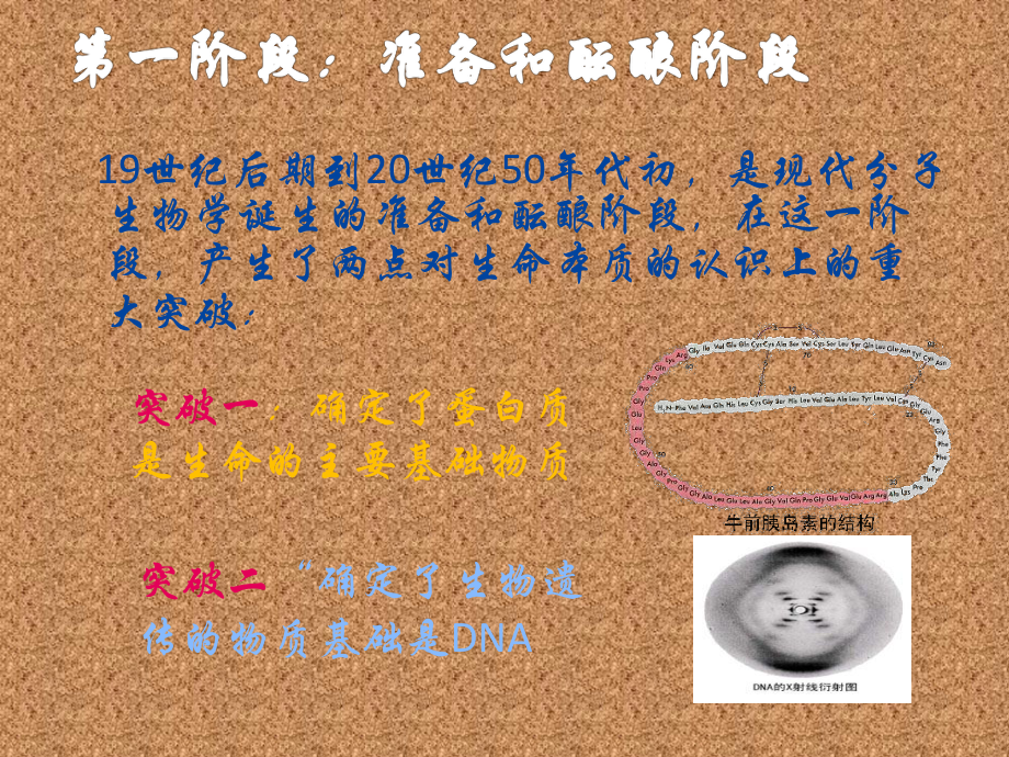 分子生物学的发展史.pptx_第2页