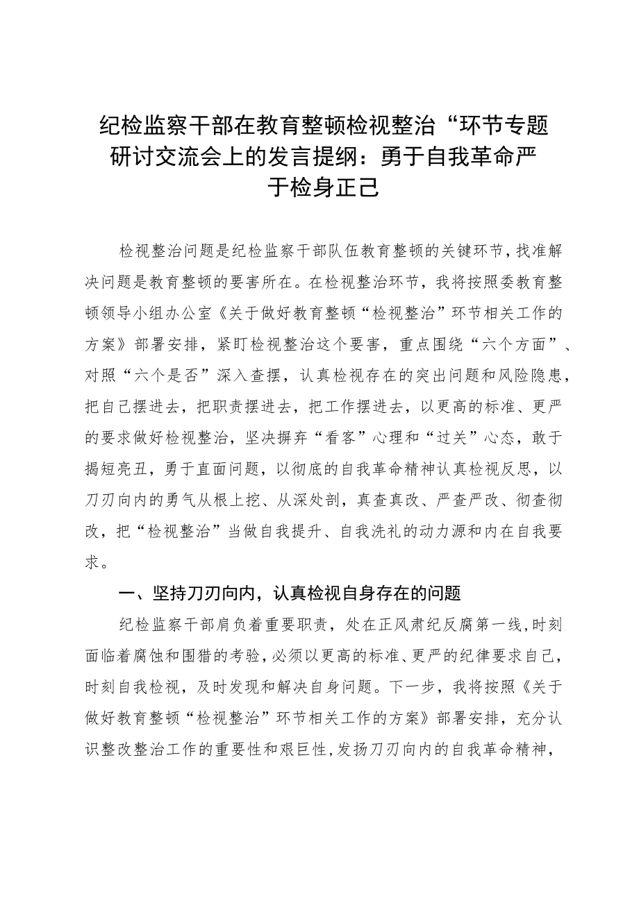 纪检监察干部在教育整顿“检视整治”环节专题研讨交流会上的发言提纲.docx_第1页