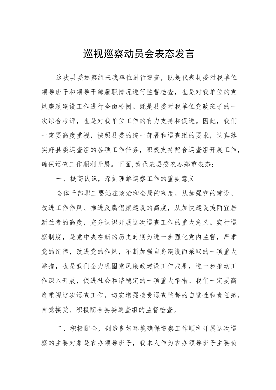 2023巡视巡察动员会表态发言.docx_第1页