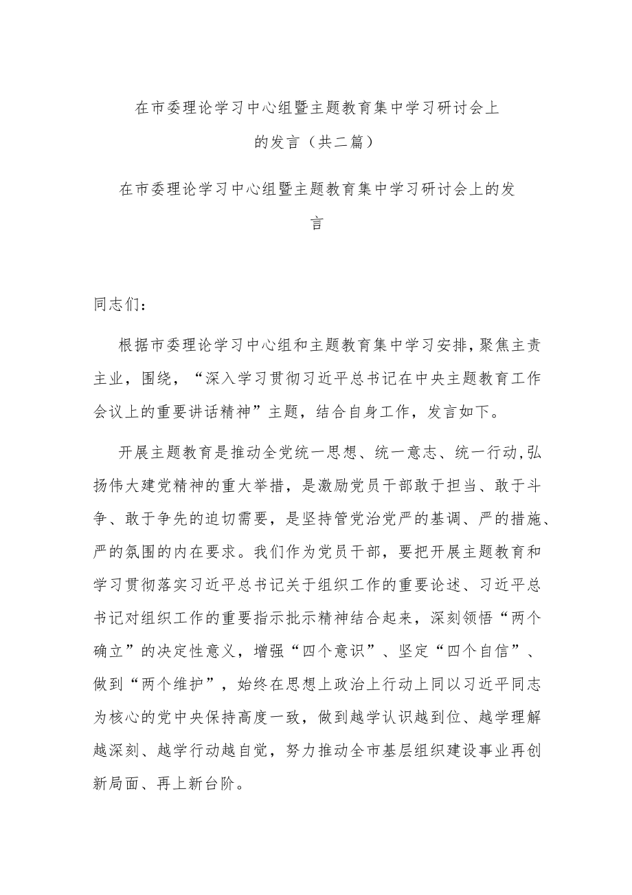 在市委理论学习中心组暨主题教育集中学习研讨会上的发言(共二篇).docx_第1页