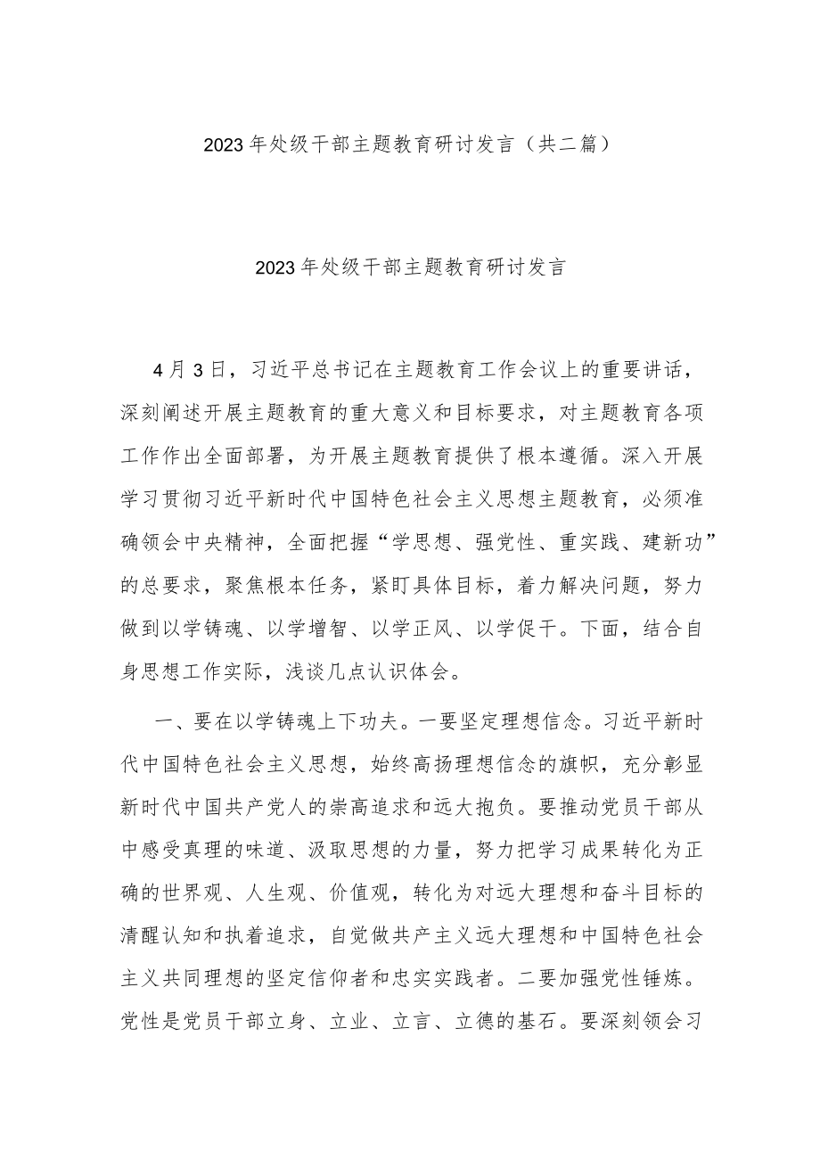 2023年处级干部主题教育研讨发言(共二篇).docx_第1页