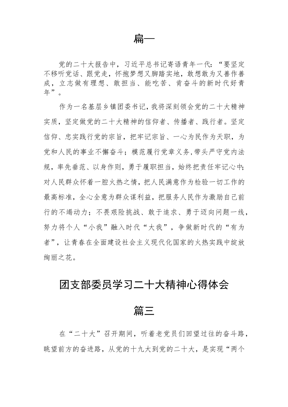 团支部委员学习二十大精神心得体会精选三篇.docx_第2页