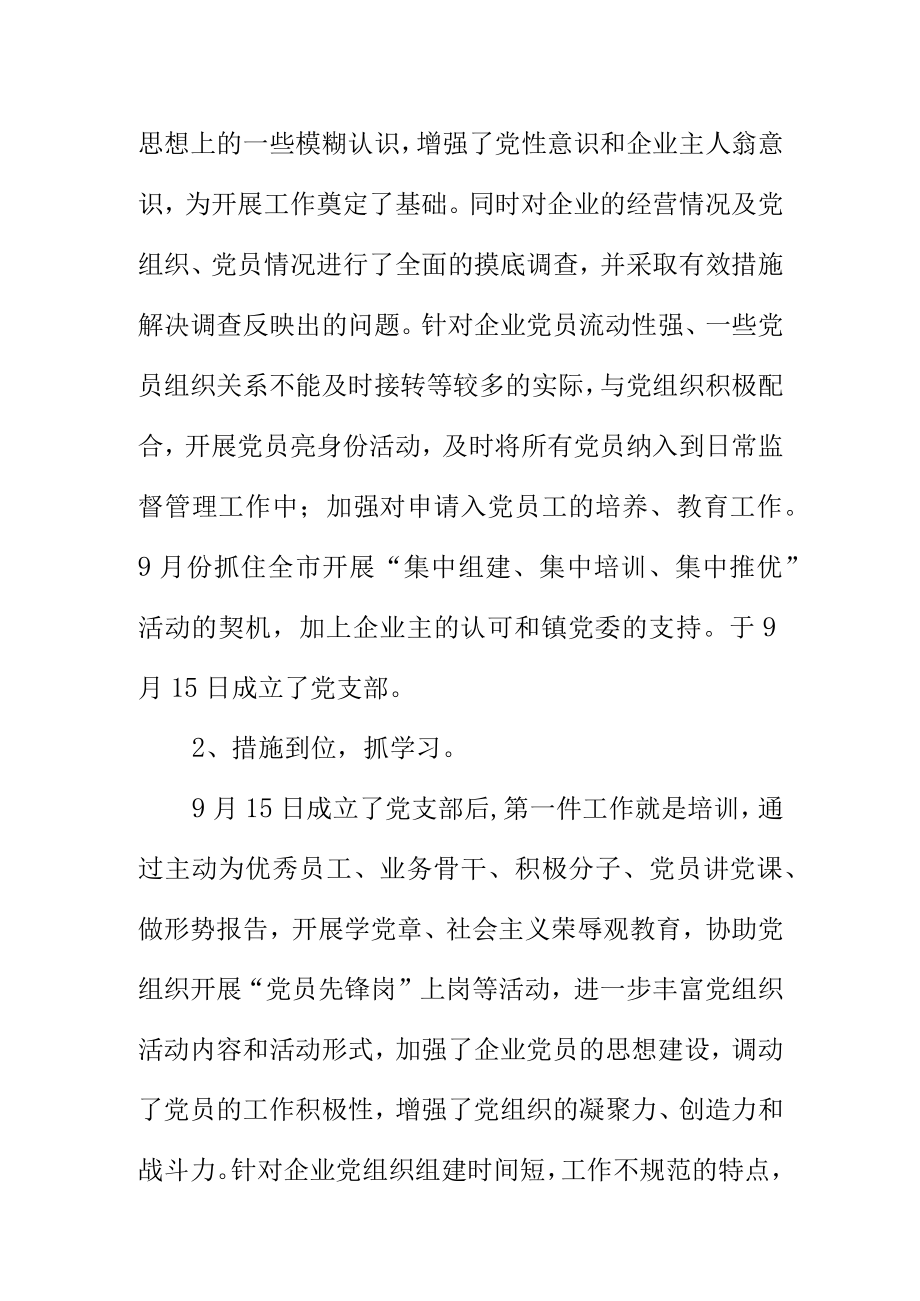 非公企业党建工作指导员个人小结.docx_第3页