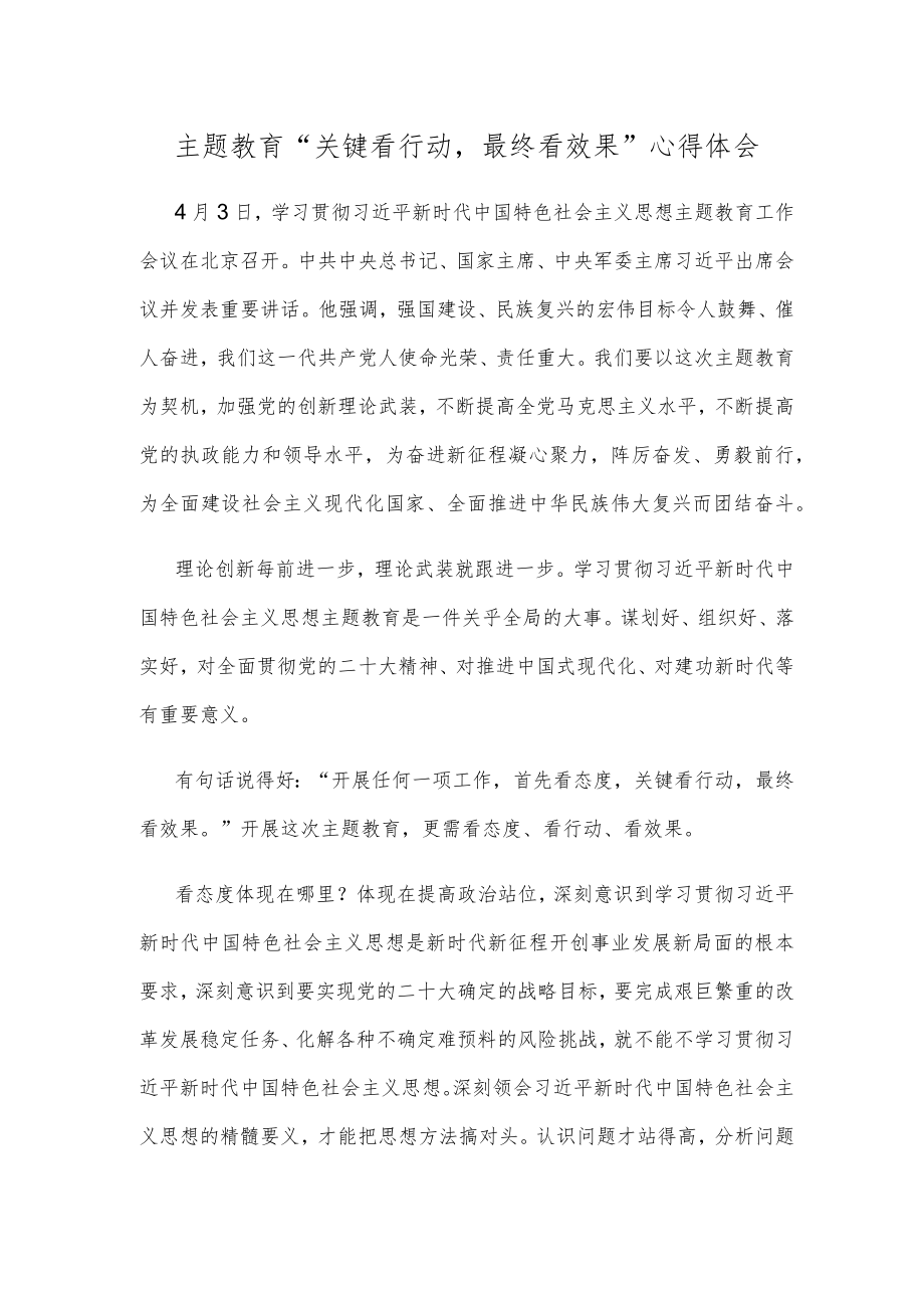 主题教育“关键看行动最终看效果”心得体会.docx_第1页