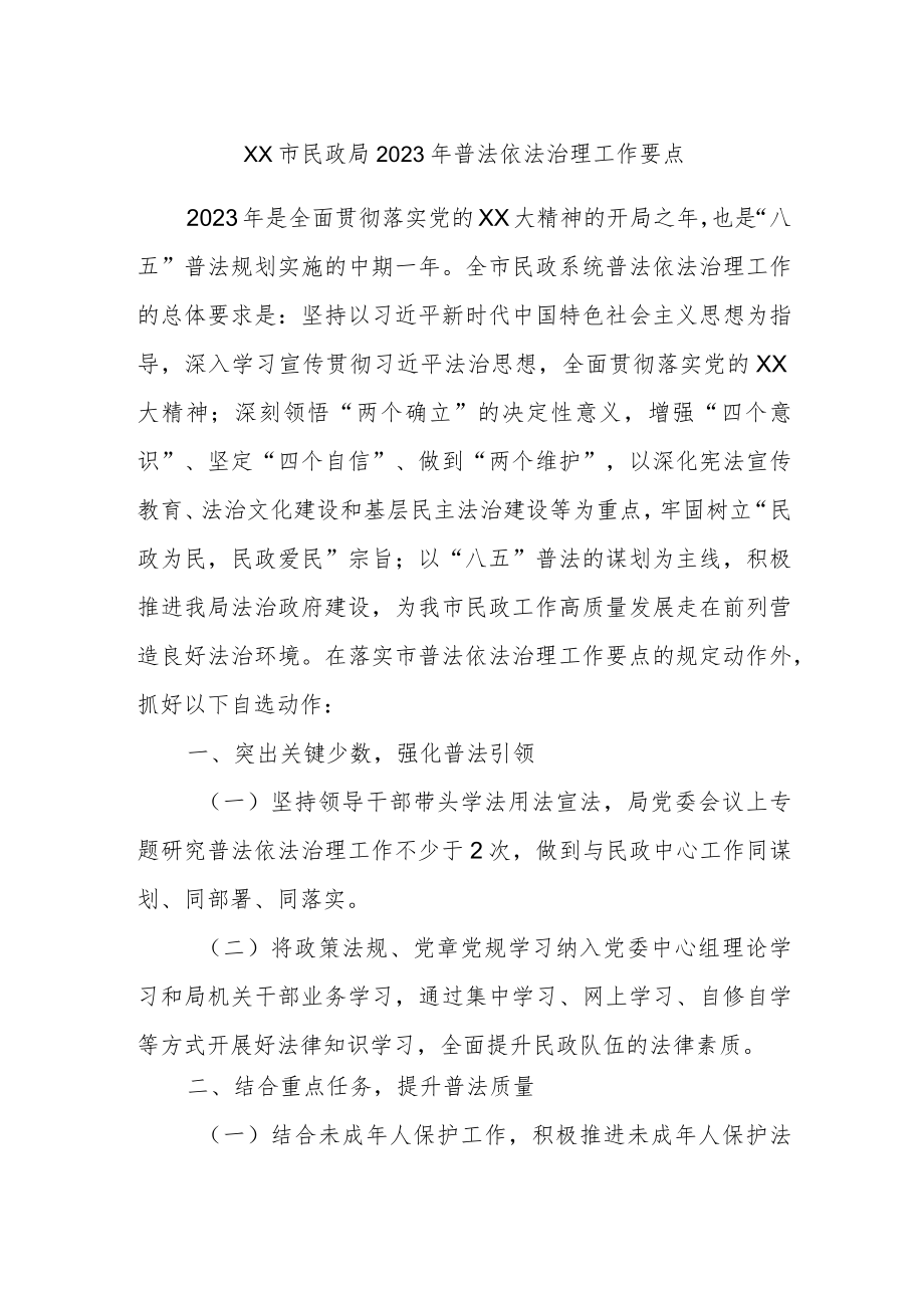 XX市民政局2023年普法依法治理工作要点.docx_第1页