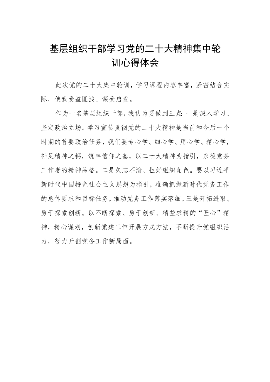 基层组织干部学习党的二十大精神集中轮训心得体会.docx_第1页