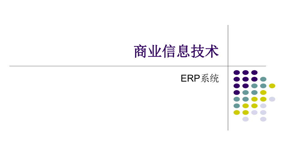 商业信息技术ERP系统.pptx_第1页