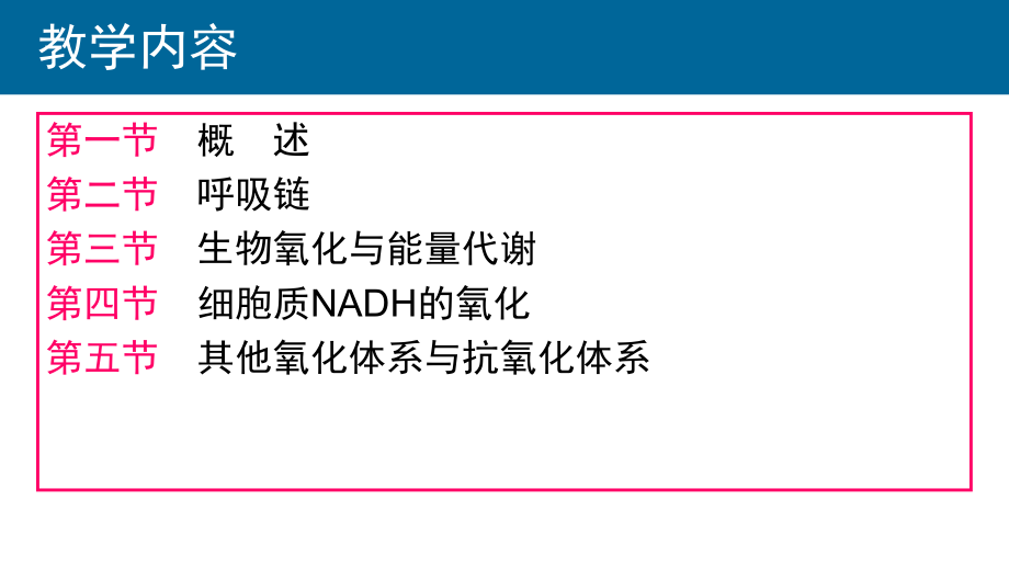 生物化学07生物氧化.pptx_第2页