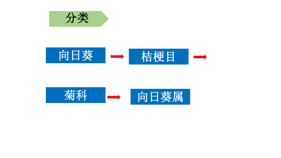 向日葵的栽培技术.pptx_第2页