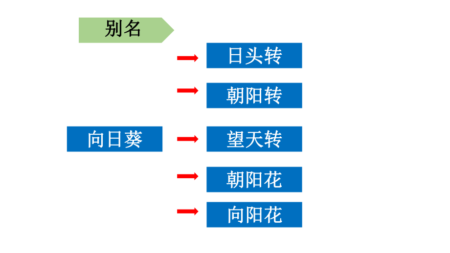 向日葵的栽培技术.pptx_第3页