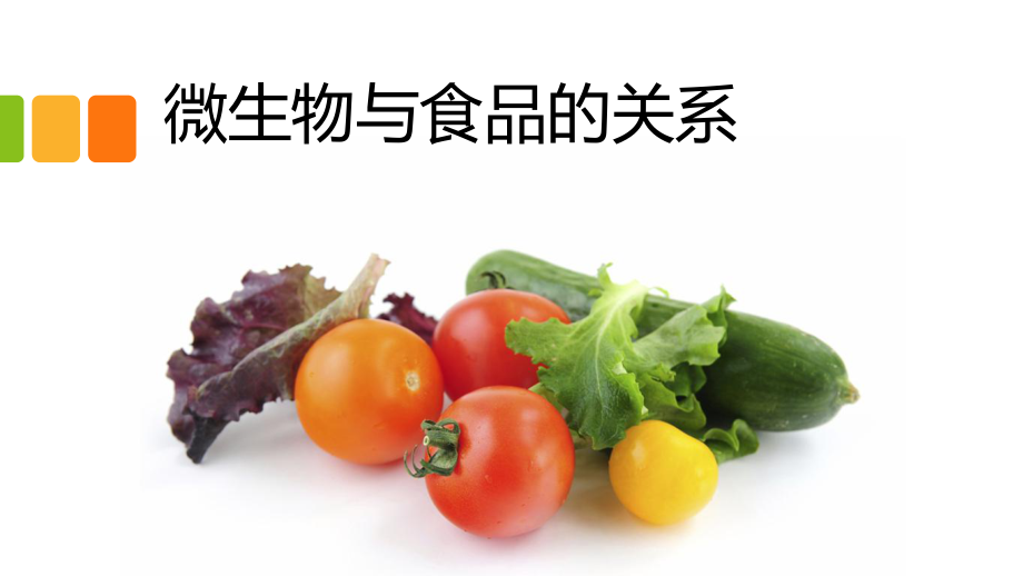 微生物与食品的关系.pptx_第1页