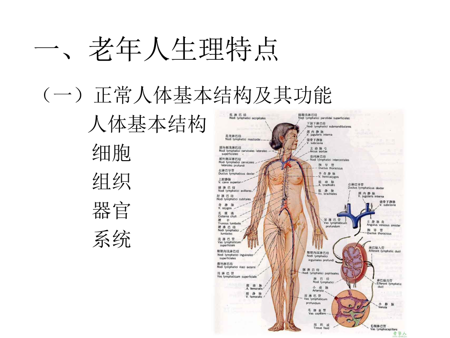 老人生理及心理特点(护理员培训.pptx_第2页