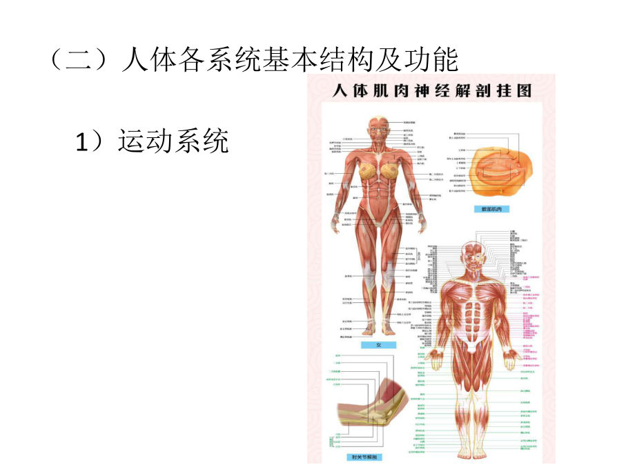 老人生理及心理特点(护理员培训.pptx_第3页