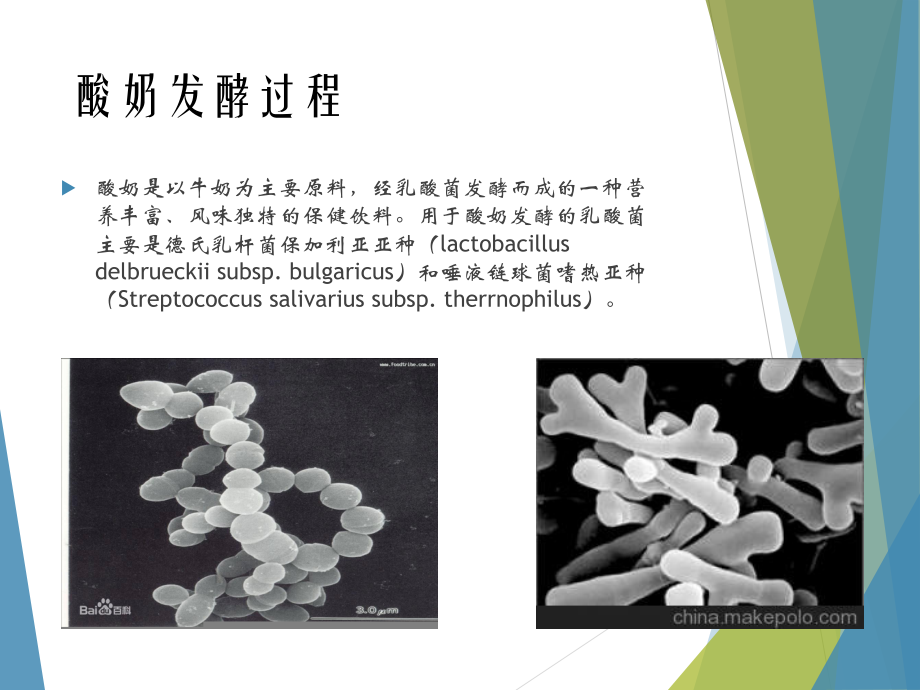 微生物酸奶制作.pptx_第3页