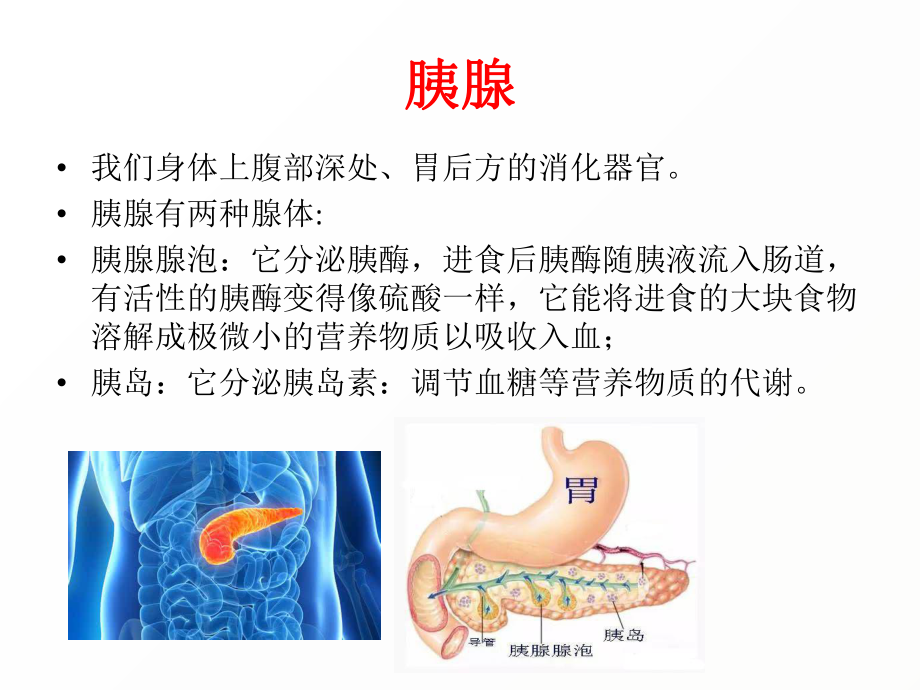 急性胰腺炎健康教育.pptx_第3页