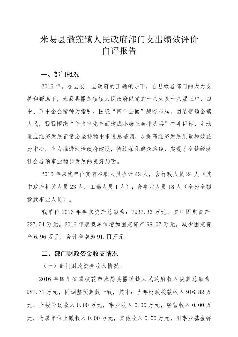 米易县撒莲镇人民政府部门支出绩效评价.docx_第1页