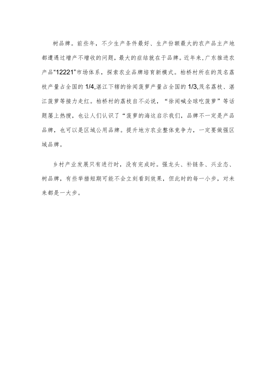 乡村振兴产业链建设心得体会.docx_第3页