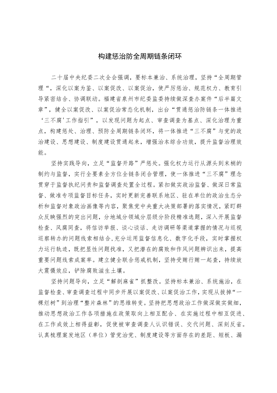 构建惩治防全周期链条闭环.docx_第1页