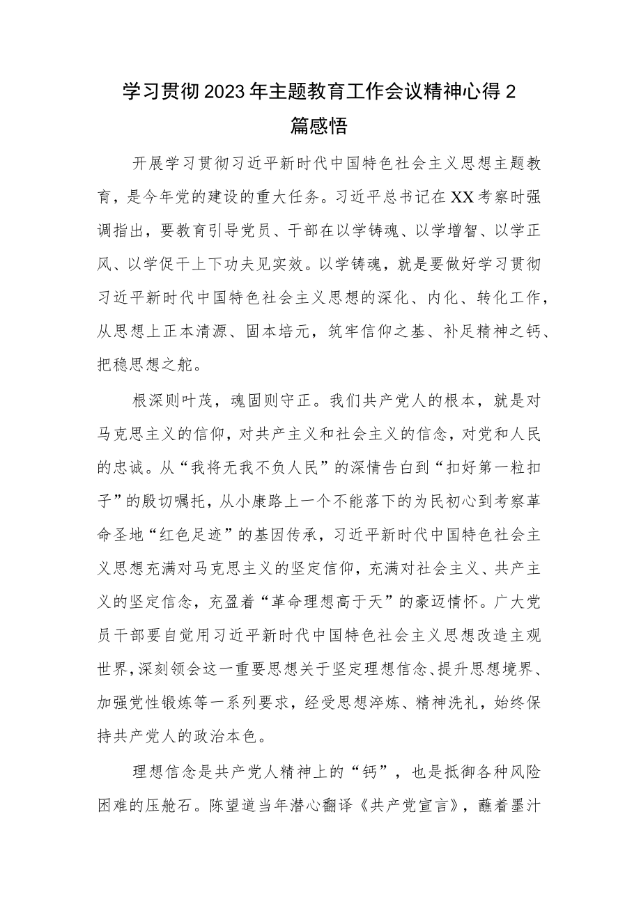 学习贯彻2023年主题教育工作会议精神心得2篇感悟.docx_第1页