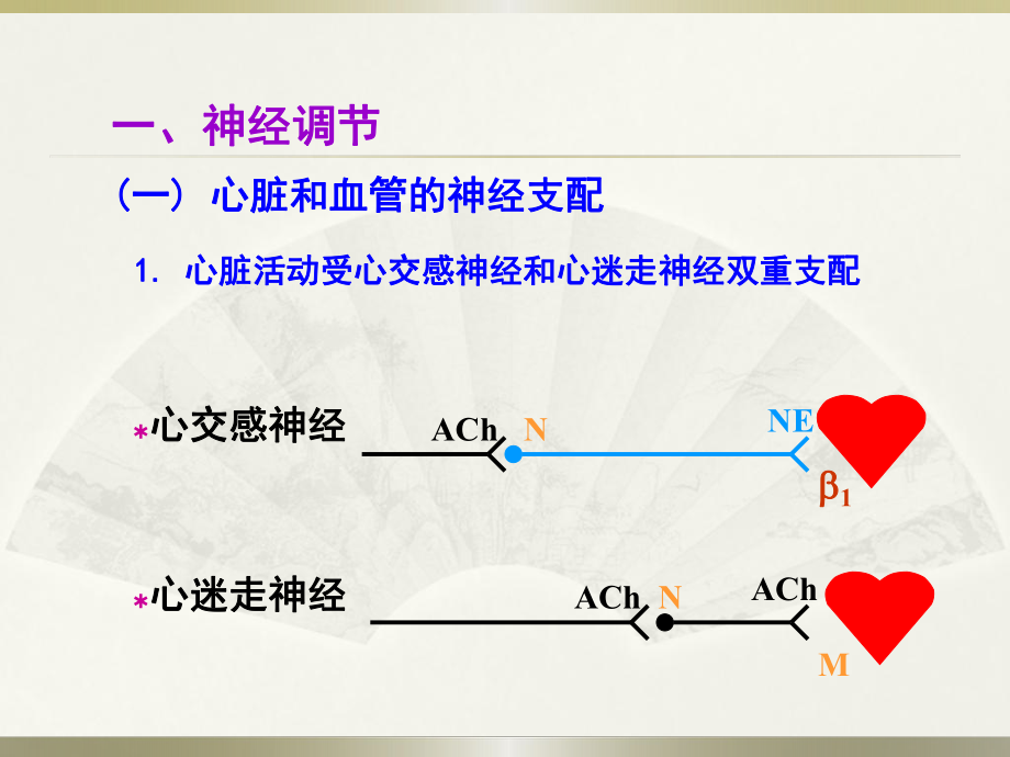 生理学循环系统.pptx_第3页