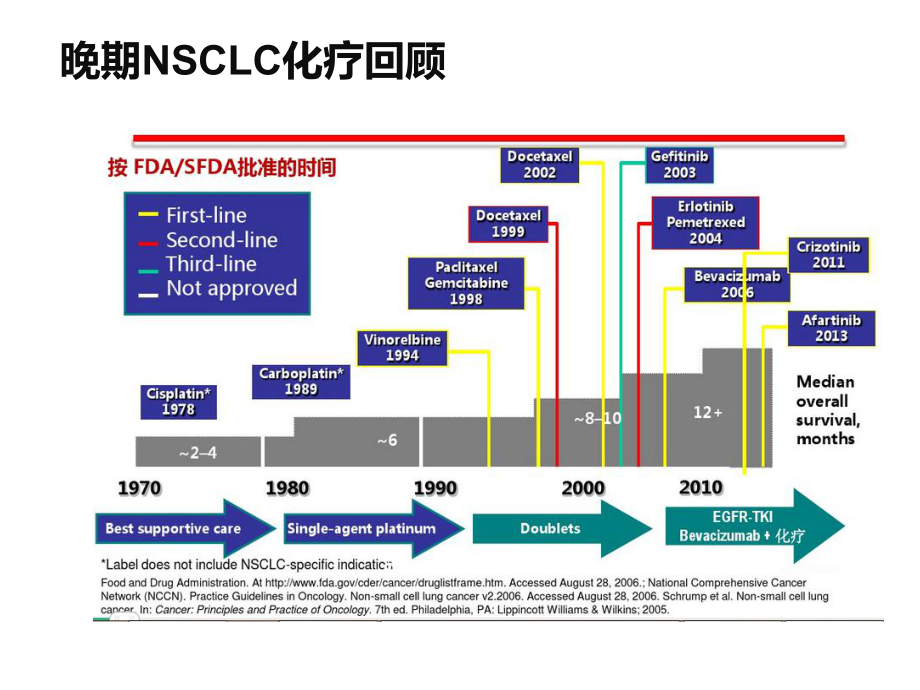 白蛋白紫杉醇在NSCLC领域临床研究.pptx_第3页