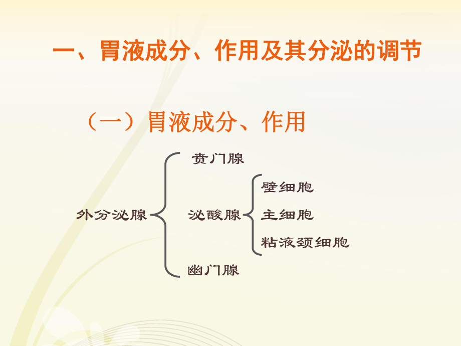 生理学胃内消化.pptx_第3页