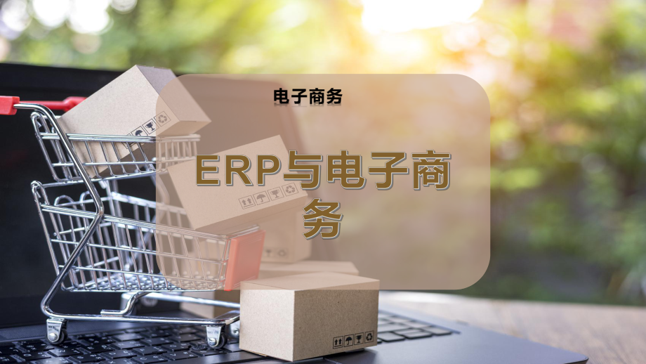 ERP与电子商务.pptx_第1页