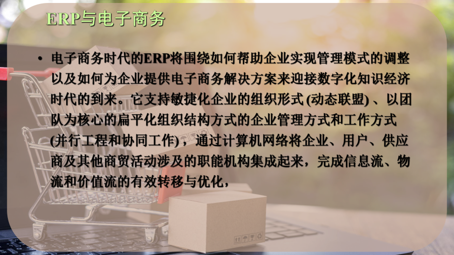 ERP与电子商务.pptx_第2页