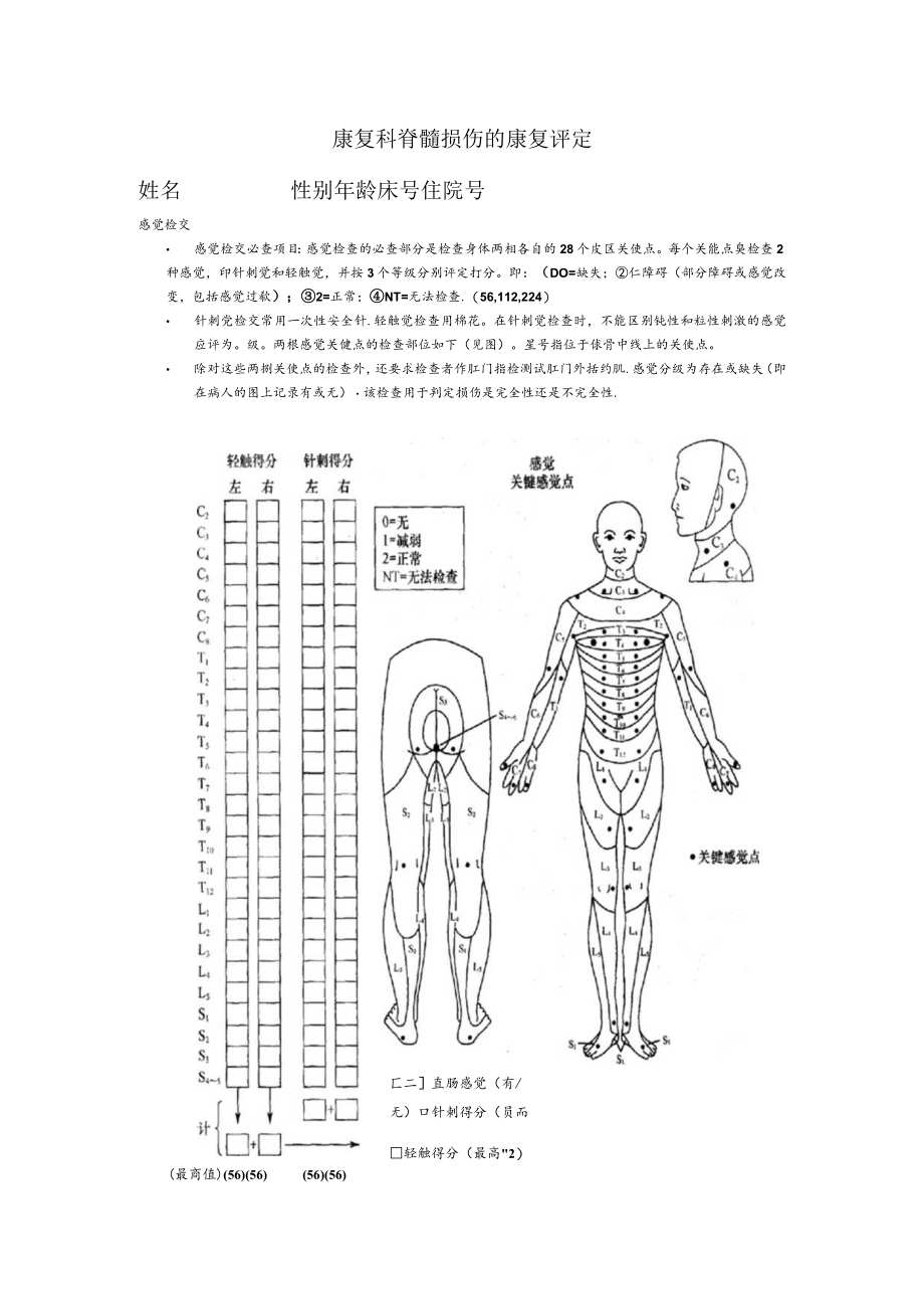 康复医学脊髓损伤评定表.docx_第1页