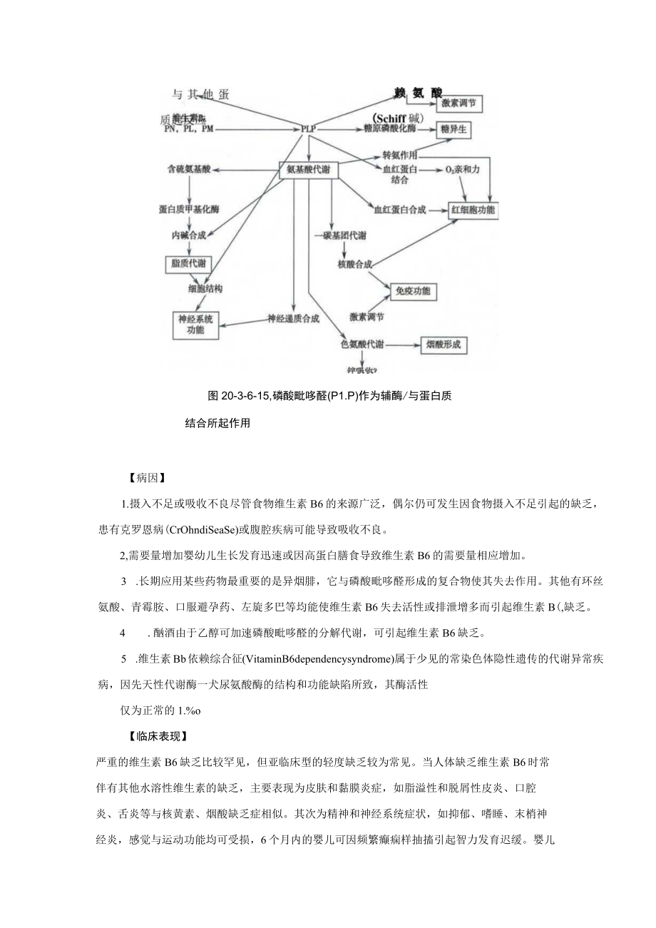 维生素缺乏症诊疗规范2023版.docx_第2页