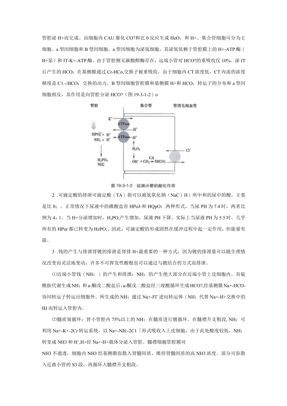 酸碱平衡紊乱诊疗规范2023版.docx_第3页