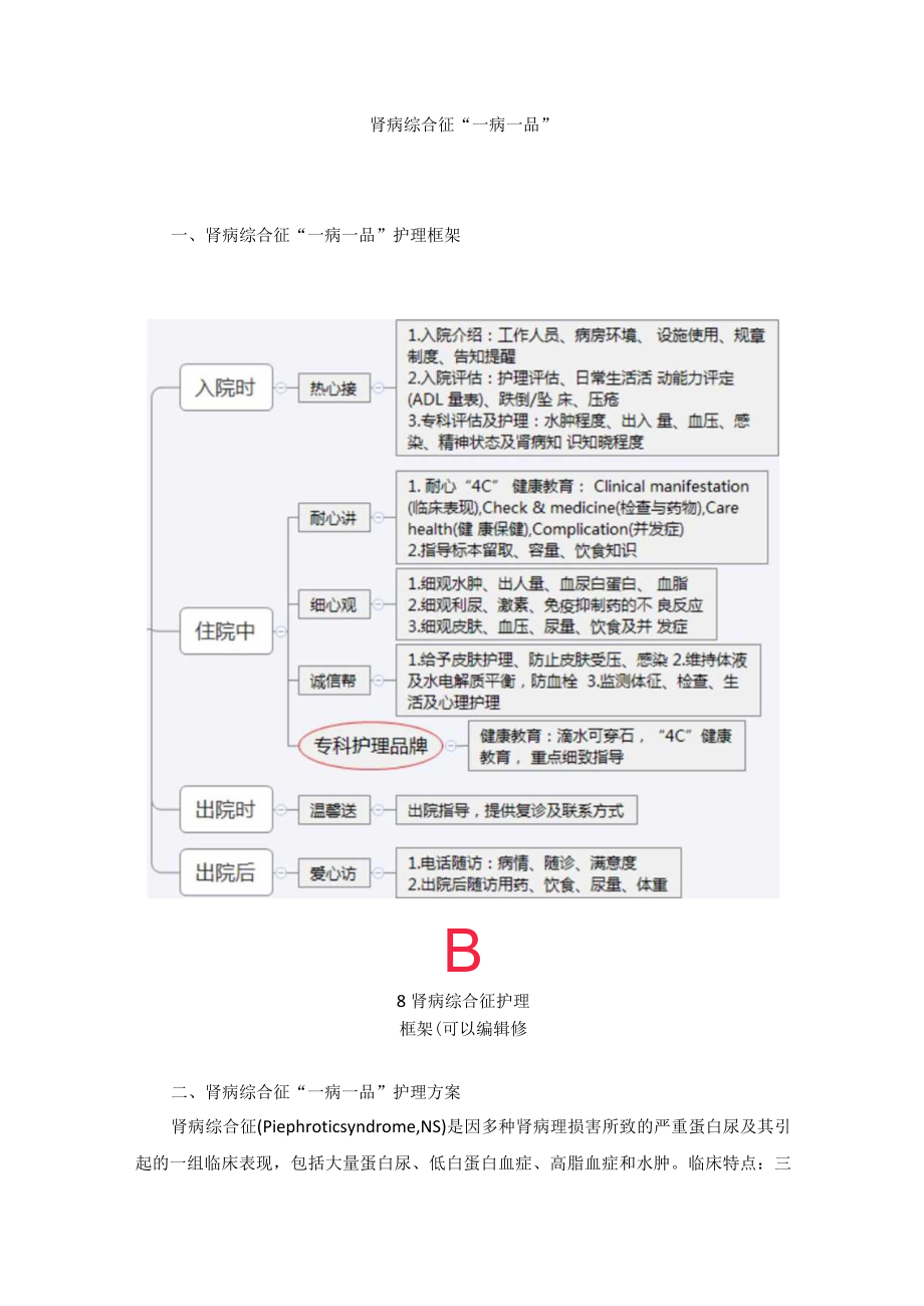 肾病科肾病综合征“一病一品”.docx_第1页