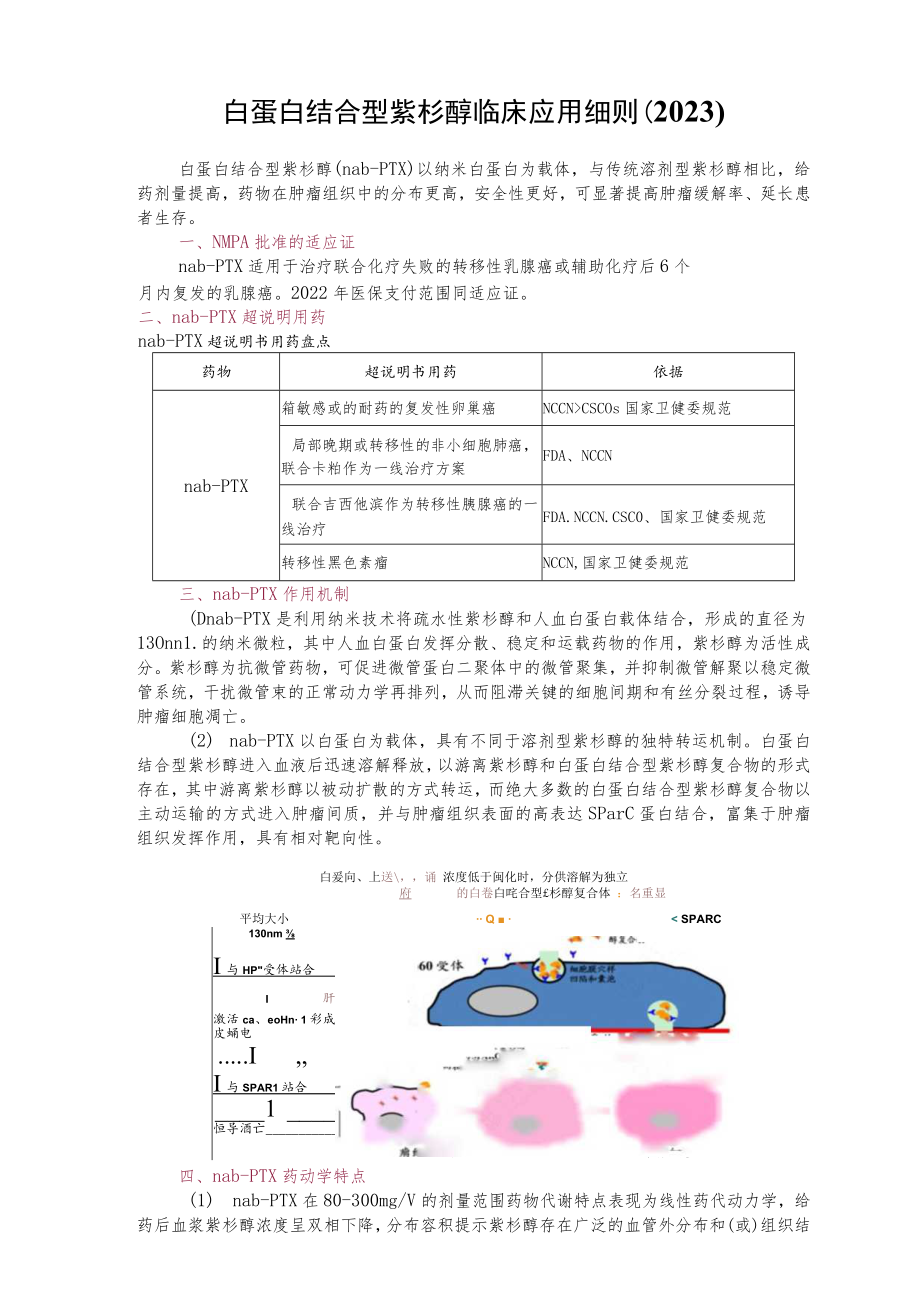 白蛋白结合型紫杉醇临床应用细则（2023）.docx_第1页