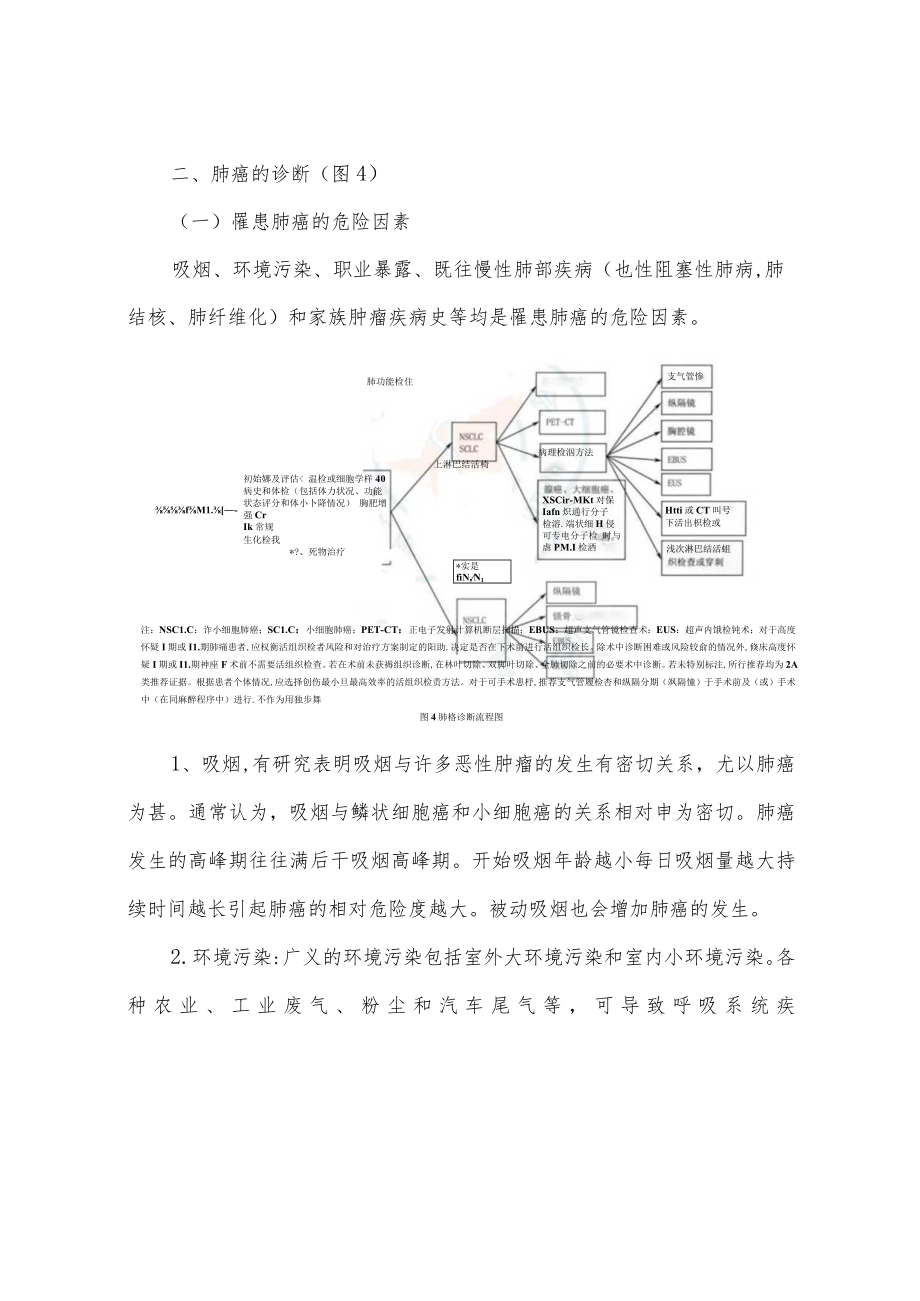 肺癌诊断指南.docx_第3页